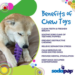 SodaPup USA-made-fish-bone-toy emphasizes American manufacturing and safety