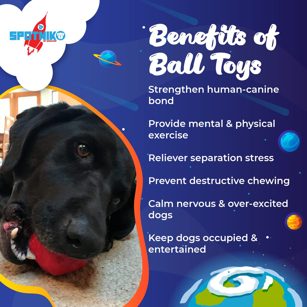 Spotnik Asteroid PuppyPrene compound for teething pups and gentle chewers