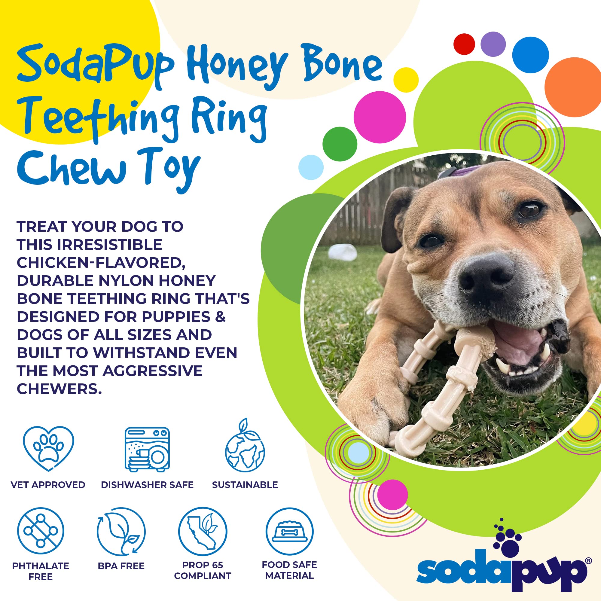 SodaPup teething ring for dogs of all sizes shot enables versatile chewing for puppies to seniors