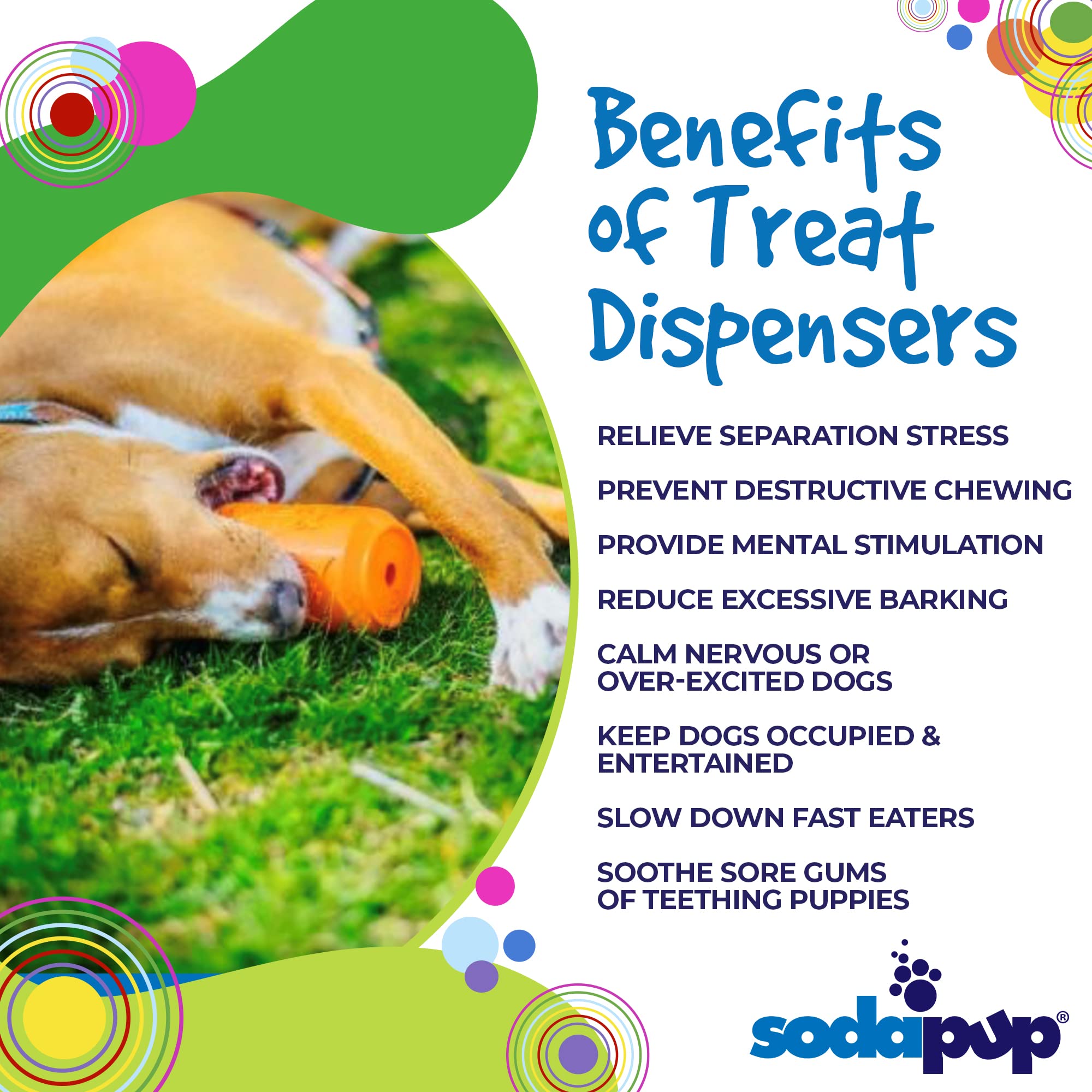 SodaPup US-made non-toxic material ensures safe pet gear.