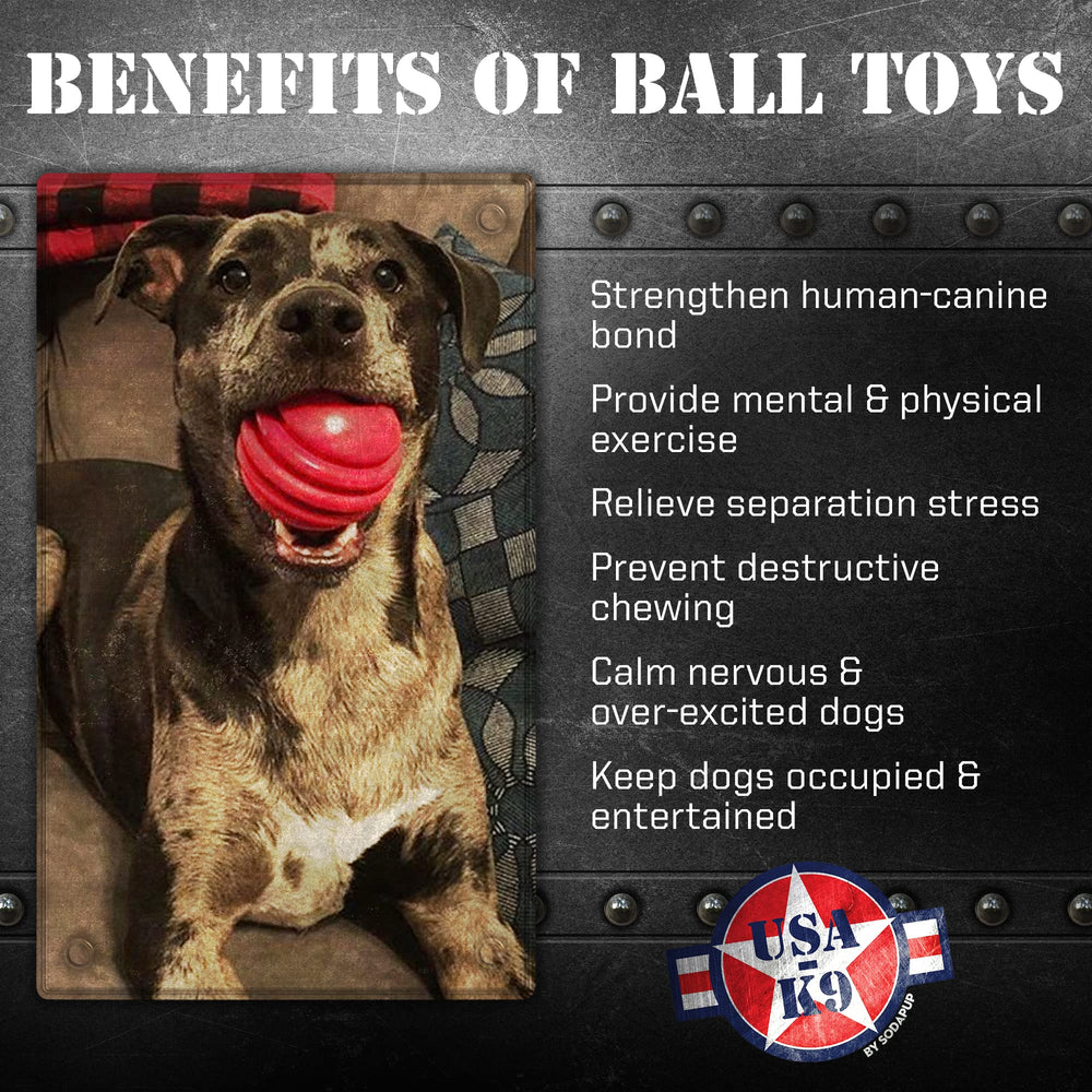 SodaPup Stars & Stripes ball teething-friendly pattern suitable for puppies chewing safely
