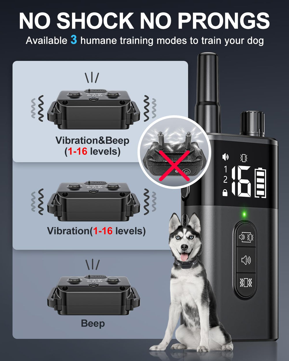 SODOG adjustable neck 8-27 inches shown on a dog