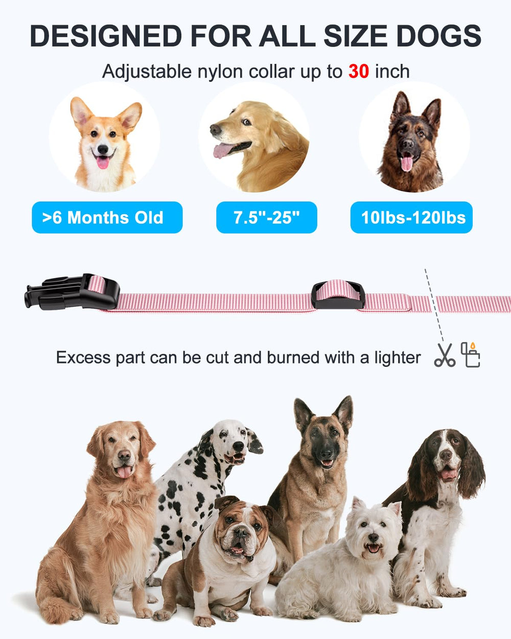 SODOG adjustable neck fits dogs 10-120 lbs securely from 8 to 27 inches.