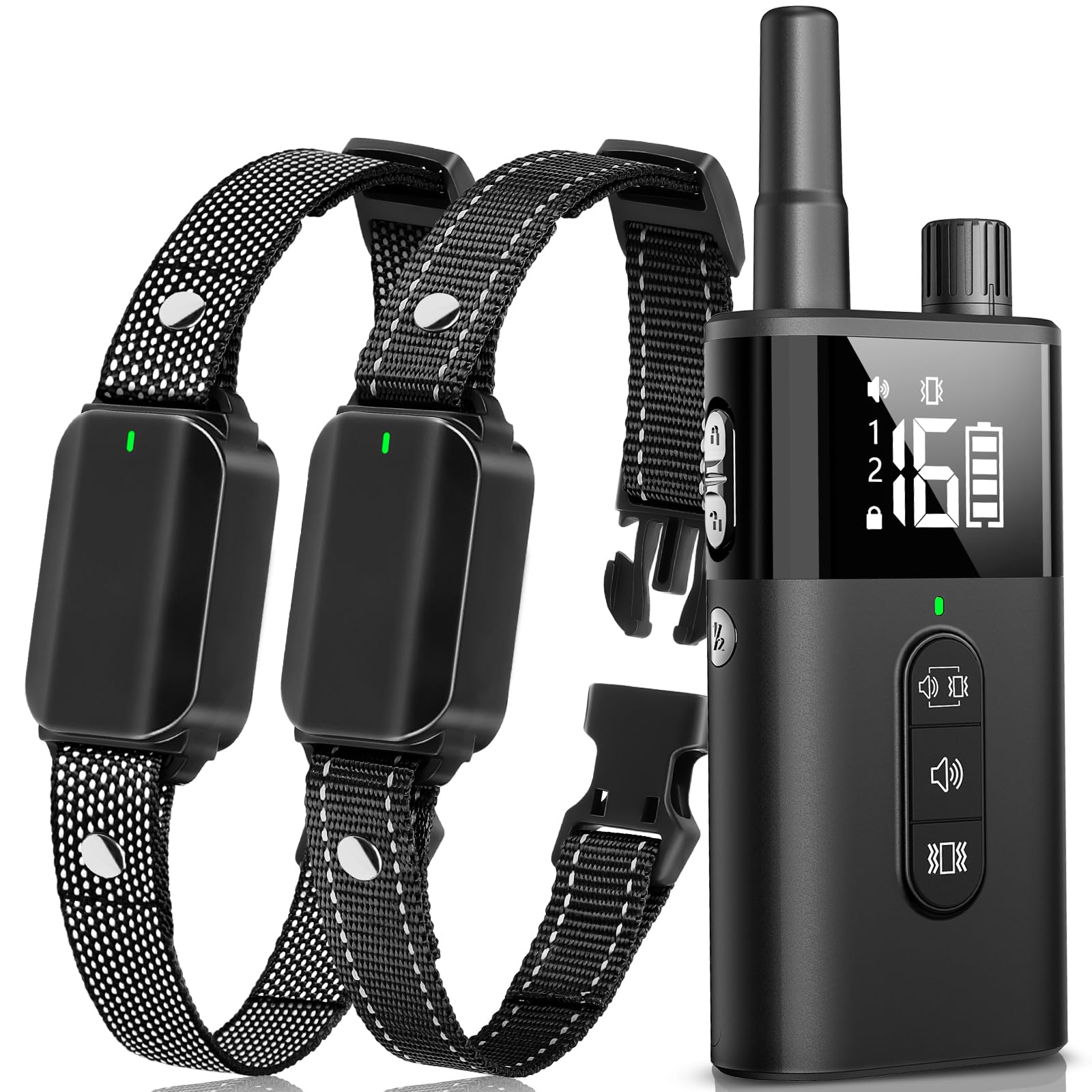 SODOG dual-dog training collar with remote in action for two dogs