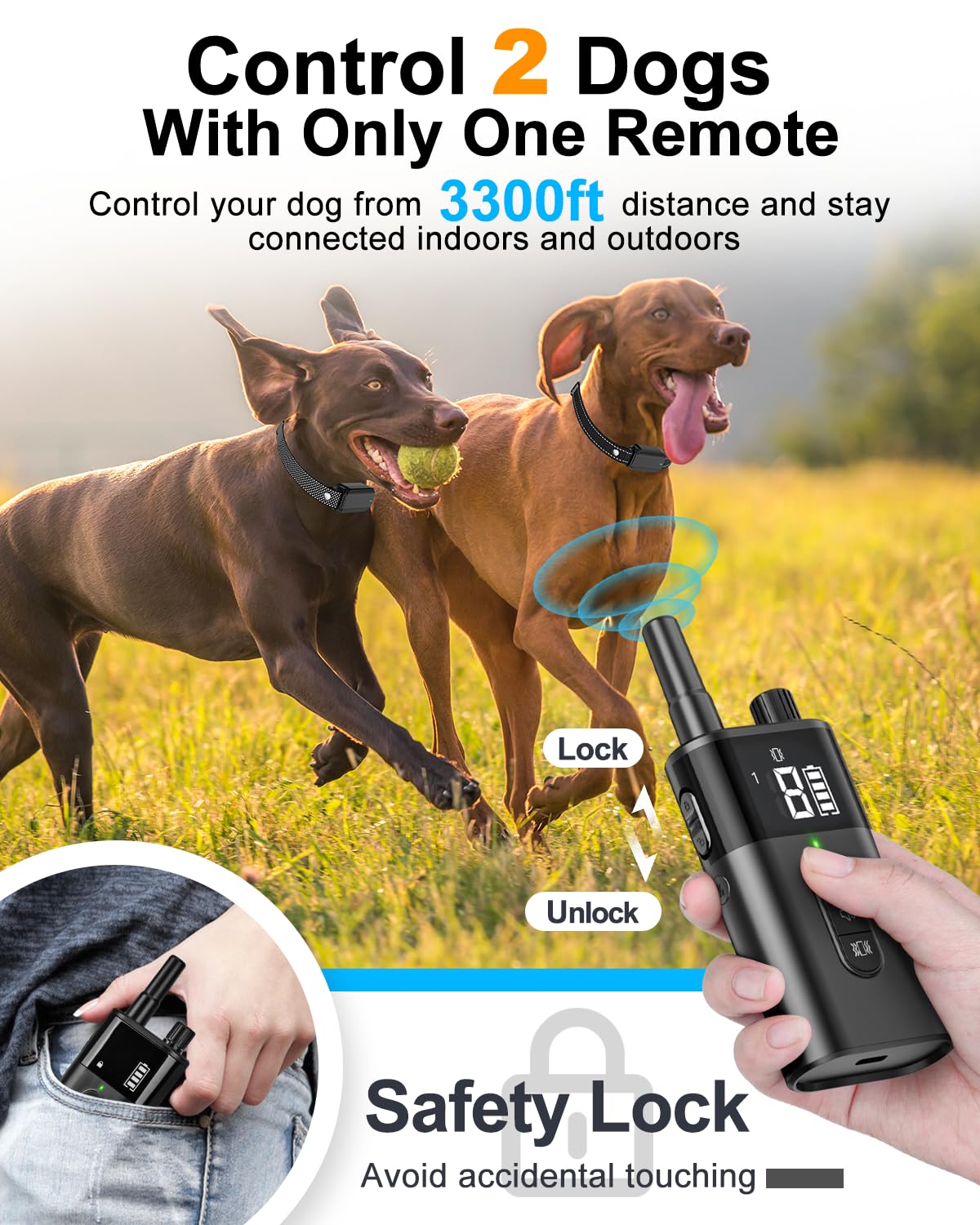 SODOG dual-dog training remote demonstrates long-range control for indoor and outdoor use
