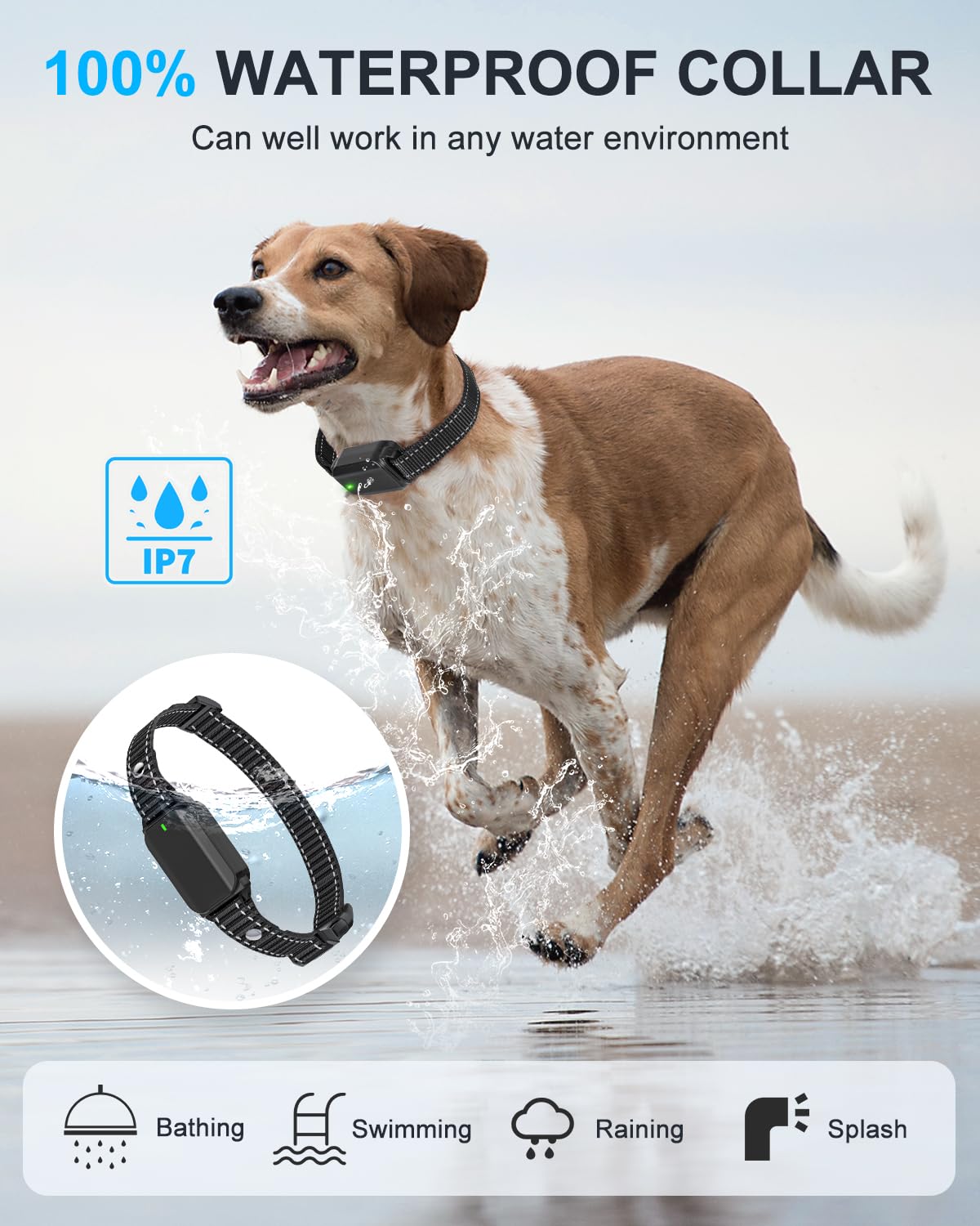 SODOG dual USB-C charging cables charging both remote and collar