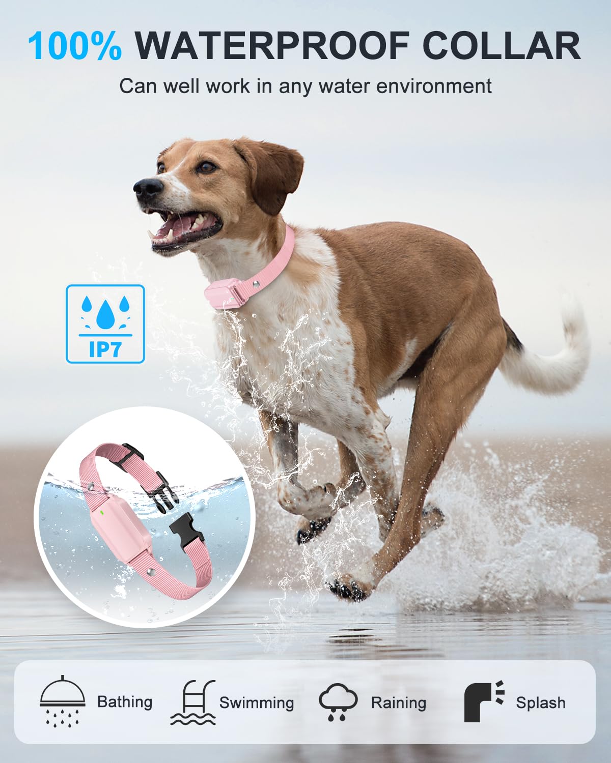SODOG dual USB-C charging cables for remote and collar.