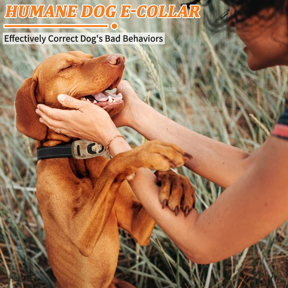 SODOG remote belt clip and lanyard design for portable training