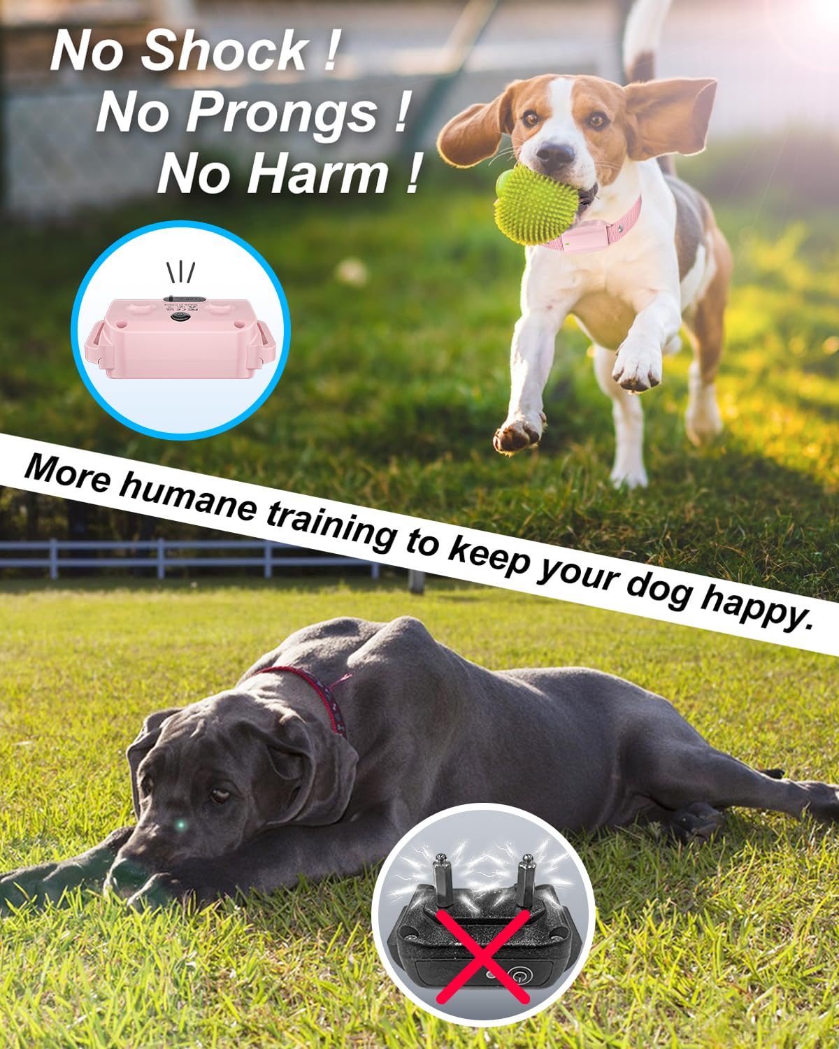 SODOG remote control in action for dog training and barking control.