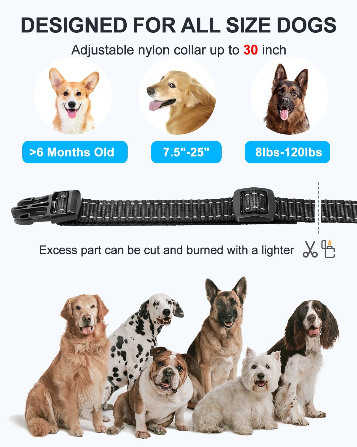 SODOG safety lock belt clip and wrist strap in action