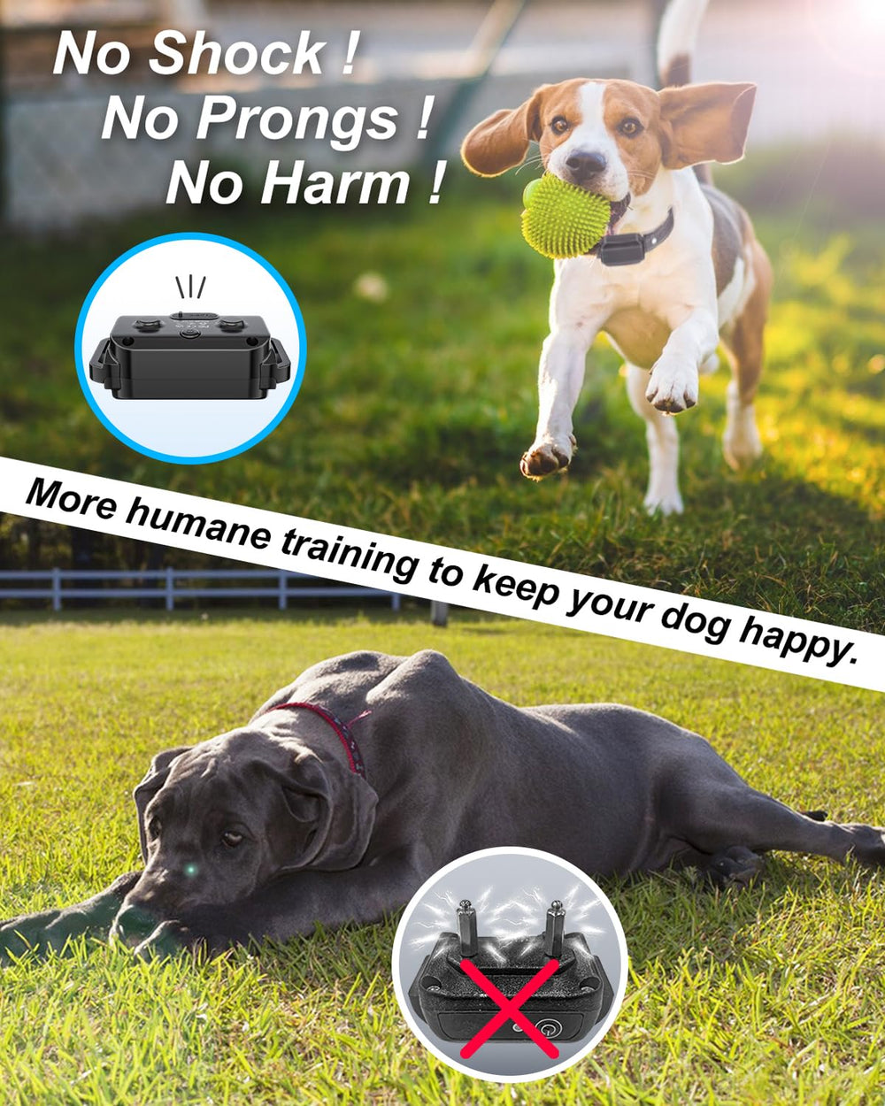 SODOG vibration collar showing beep function for recall training