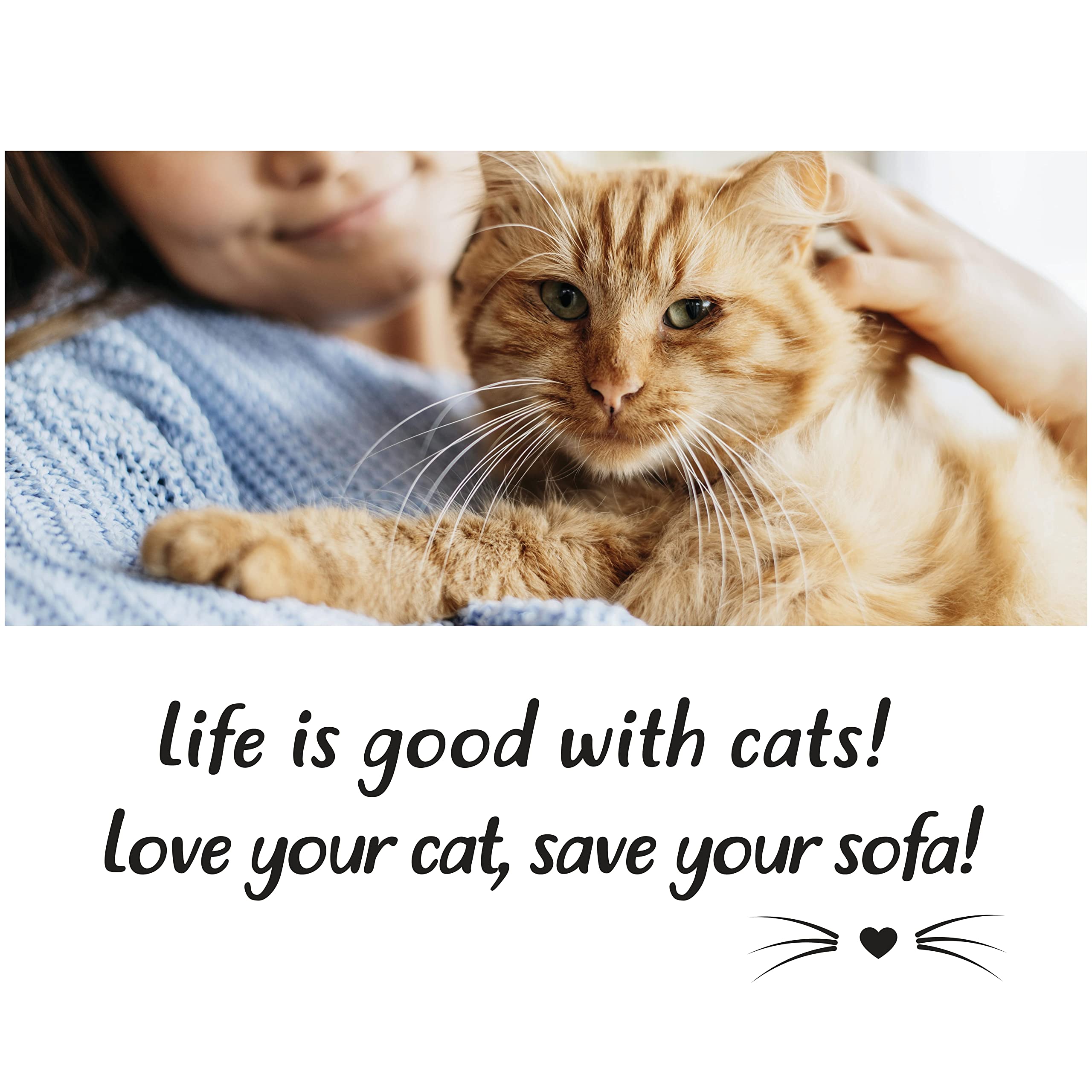 Sofisti-Cat cat-friendly setup reducing scratching near lounge.