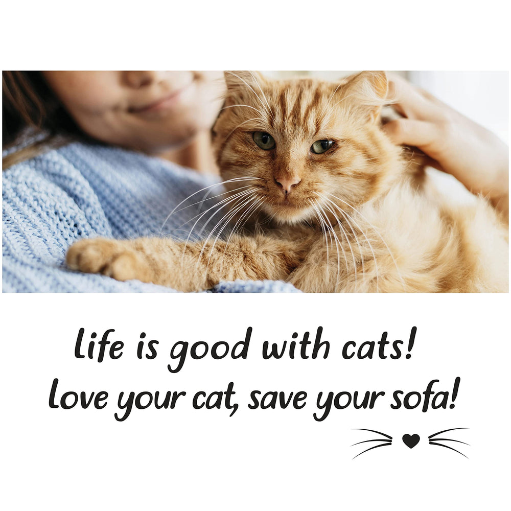 Sofisti-Cat cat-friendly setup reducing scratching near lounge.