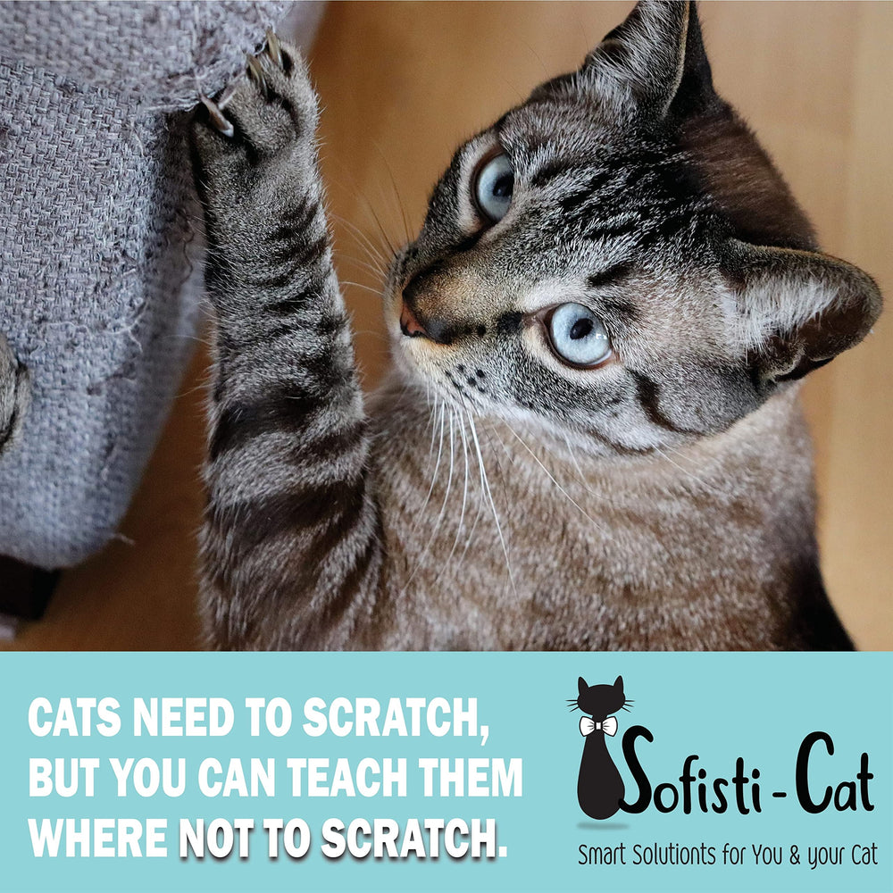 Sofisti-Cat training use image showing cats learning to avoid scratch zones.