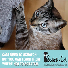 Sofisti-Cat training use image showing cats learning to avoid scratch zones.