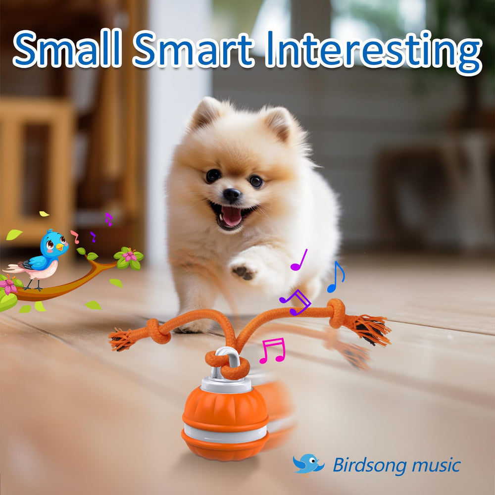 Sofolor Interactive Dog Toy Ball rolls on wood, tile, and carpet surfaces for versatile play.