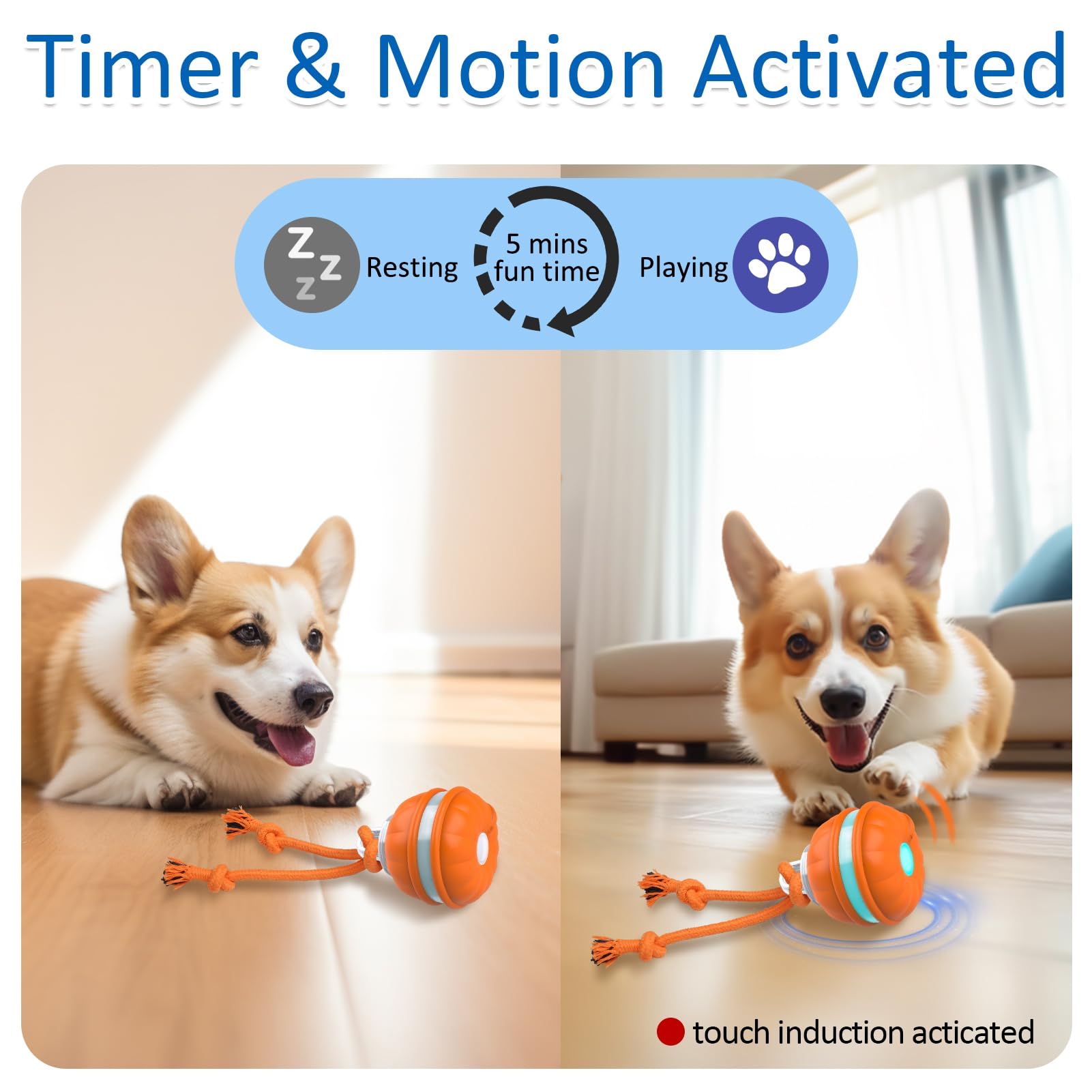 Sofolor Interactive Dog Toy Ball with touch activation enables responsive play sessions.