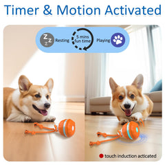 Sofolor Interactive Dog Toy Ball with touch activation enables responsive play sessions.