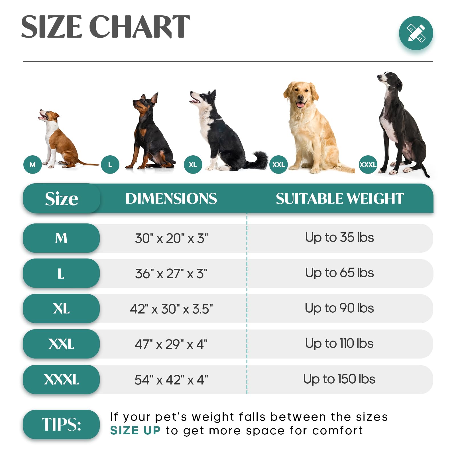 SOFTMATE 54x42 inch dog bed shown inside a crate for travel and home use