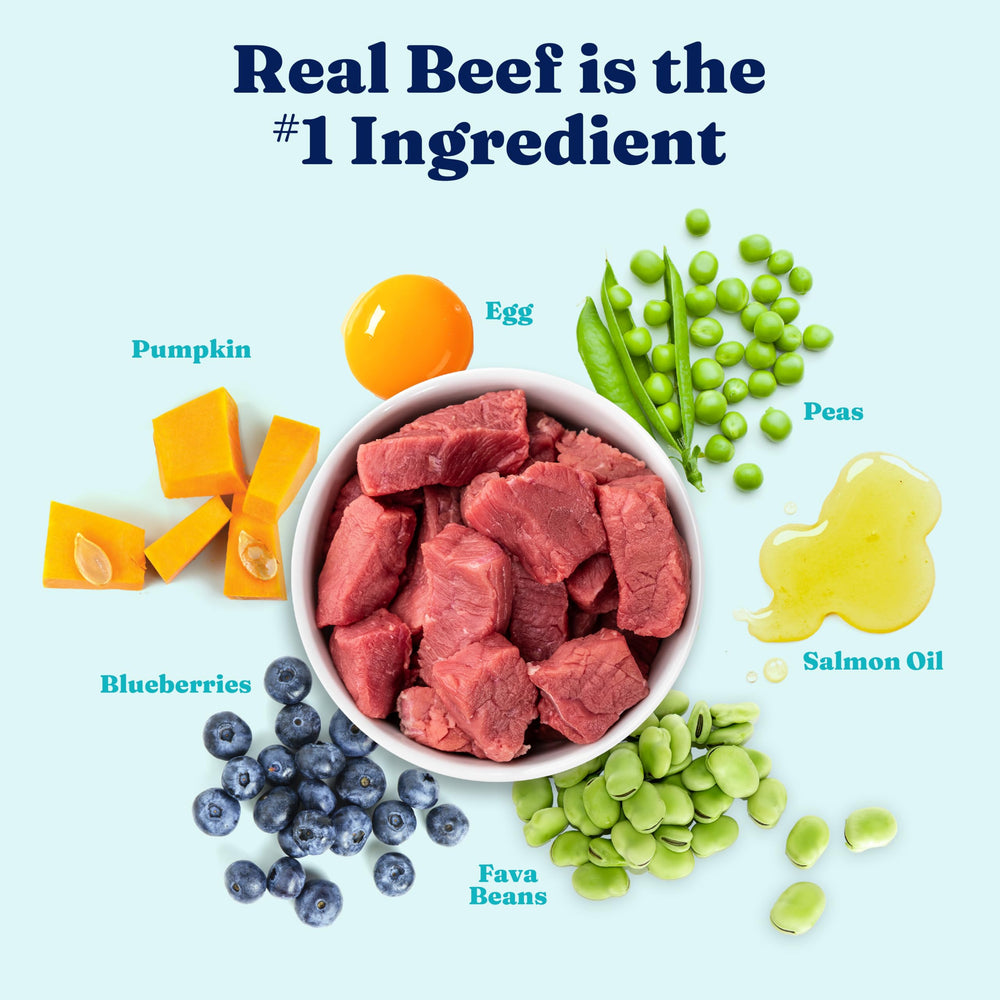 Solid Gold beef protein kibble closeup featuring real meat for muscle maintenance.