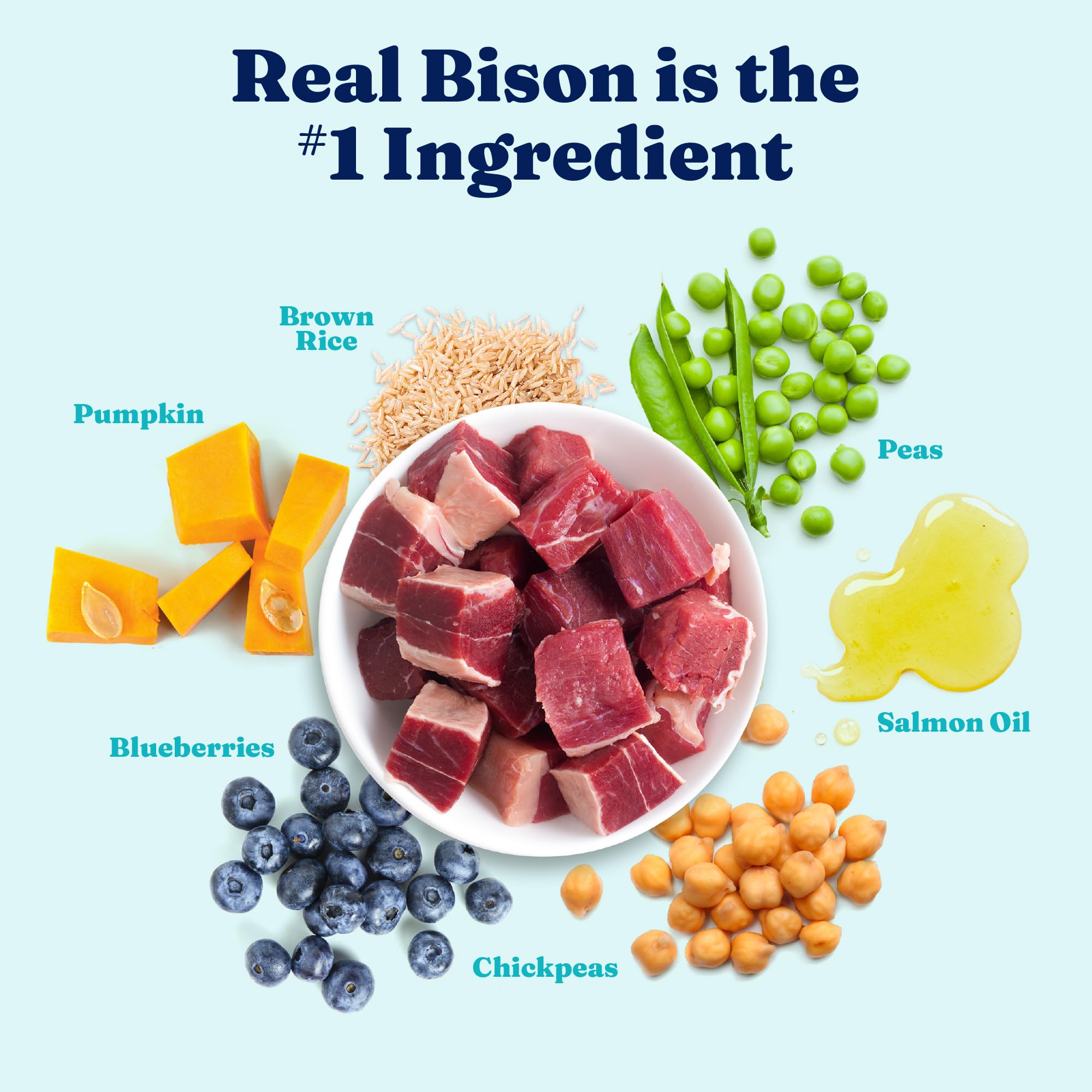 Solid Gold bison dry dog food real-bison-ingredient closeup highlights lean protein for muscle support