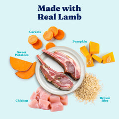 Solid Gold ingredients with pumpkin, carrots, cranberries; natural fiber supports gut health.