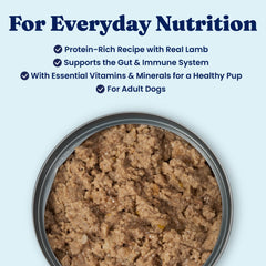 Solid Gold canned dog food lamb protein close-up; supports muscle maintenance for active dogs.