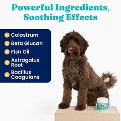 Solid Gold dog allergy chews bacon flavor close-up, palatable option for seasonal relief.