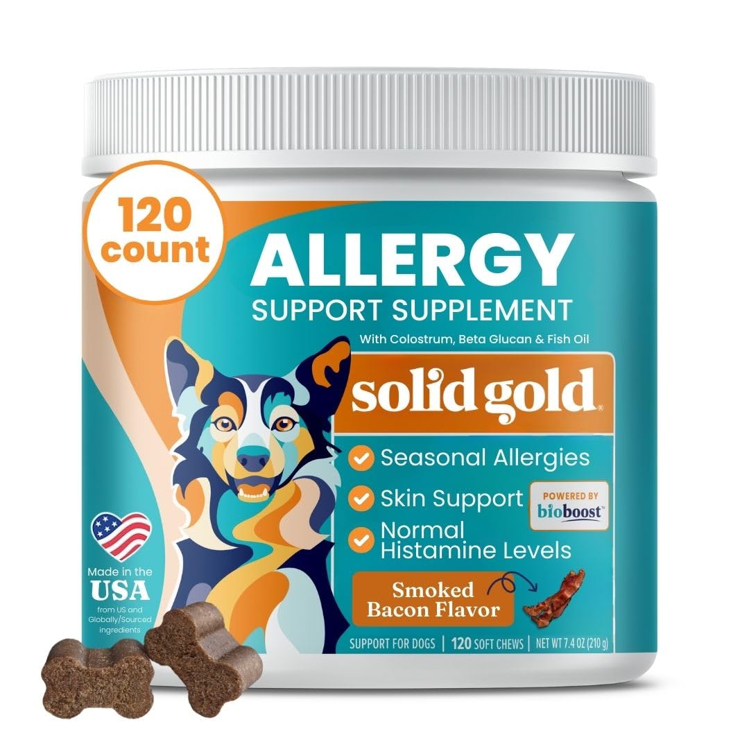 Solid Gold dog allergy chews bag front, bacon flavor for skin comfort and seasonal support.