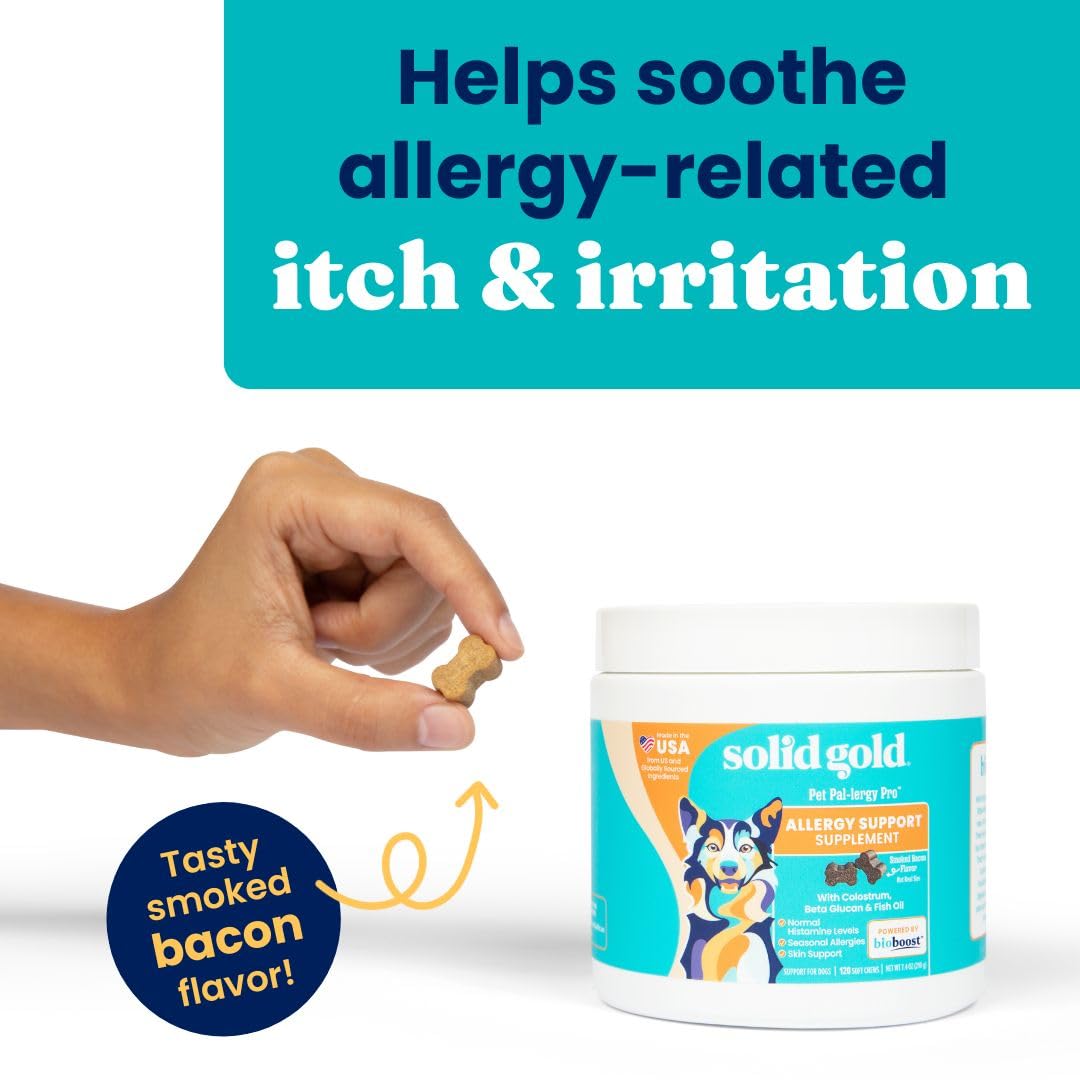 Solid Gold dog allergy chews bottle close-up, ingredients highlight salmon oil for coat health.