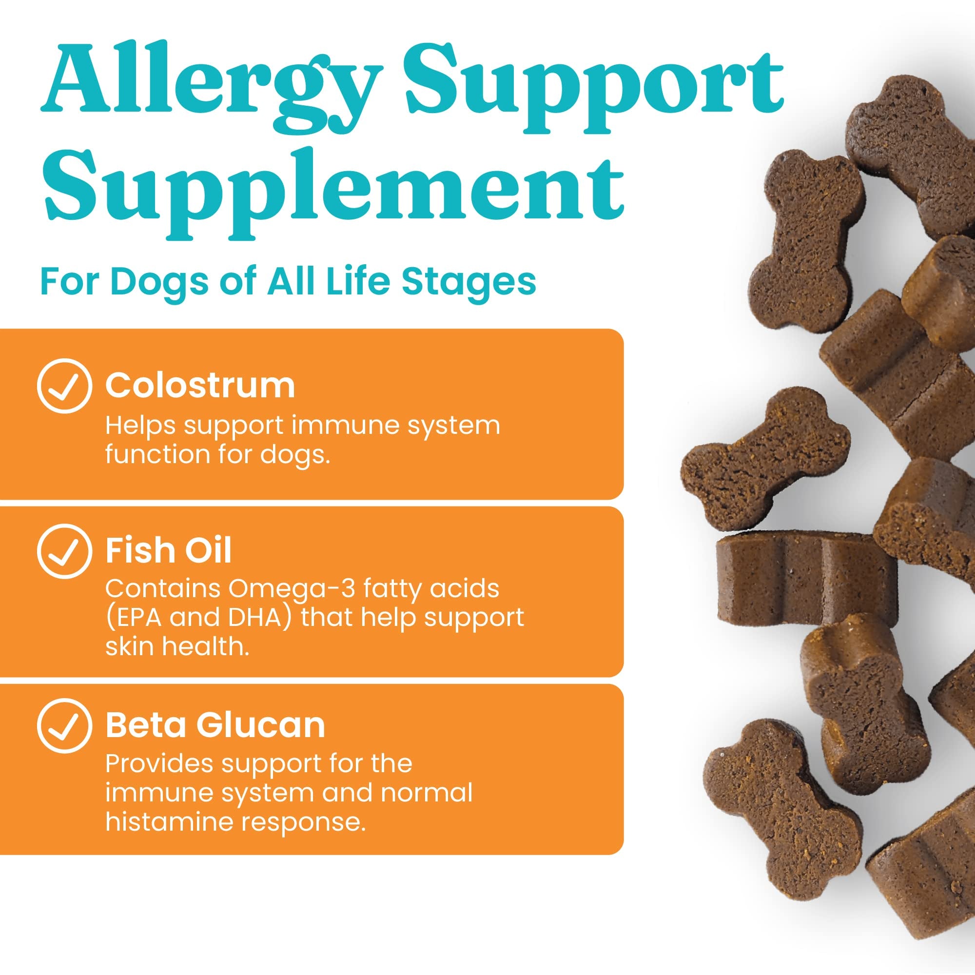 Solid Gold dog allergy chews eating scene, tasty treat supporting skin and coat.