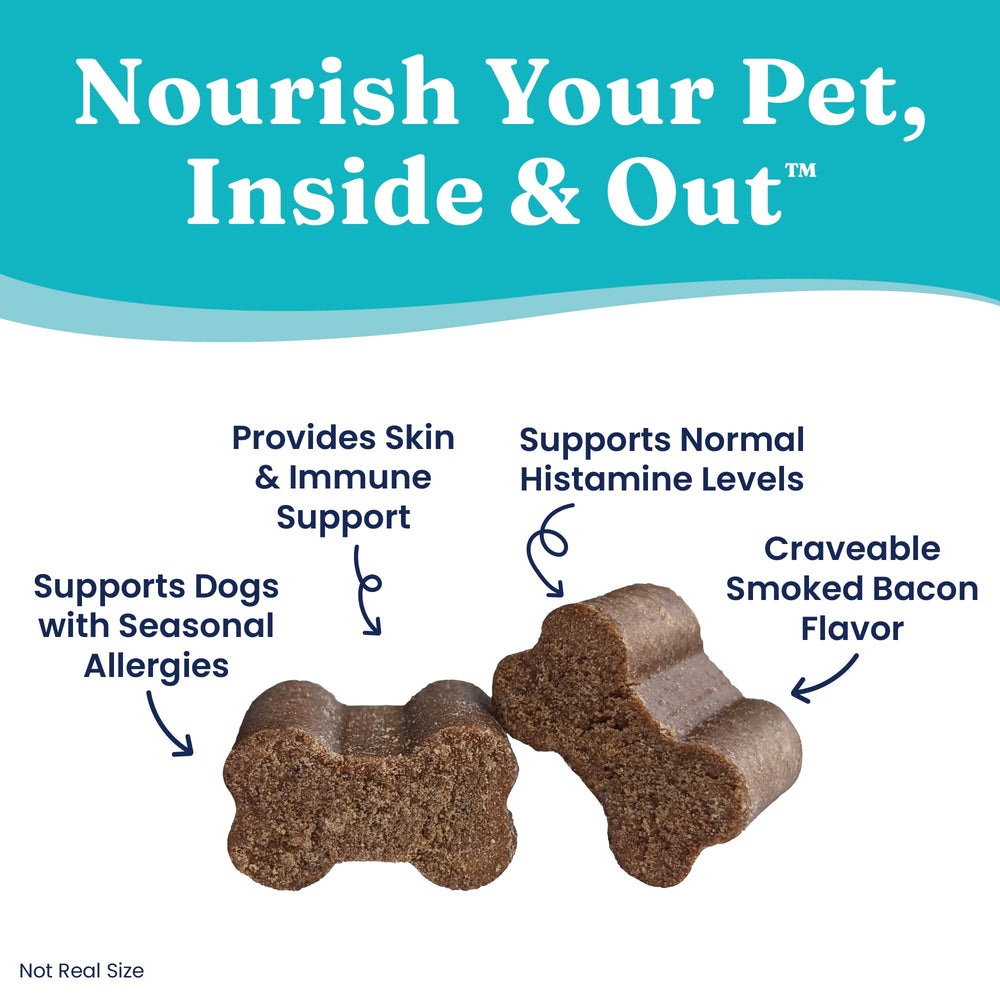 Solid Gold dog allergy relief chews front packaging highlights soft-chew texture