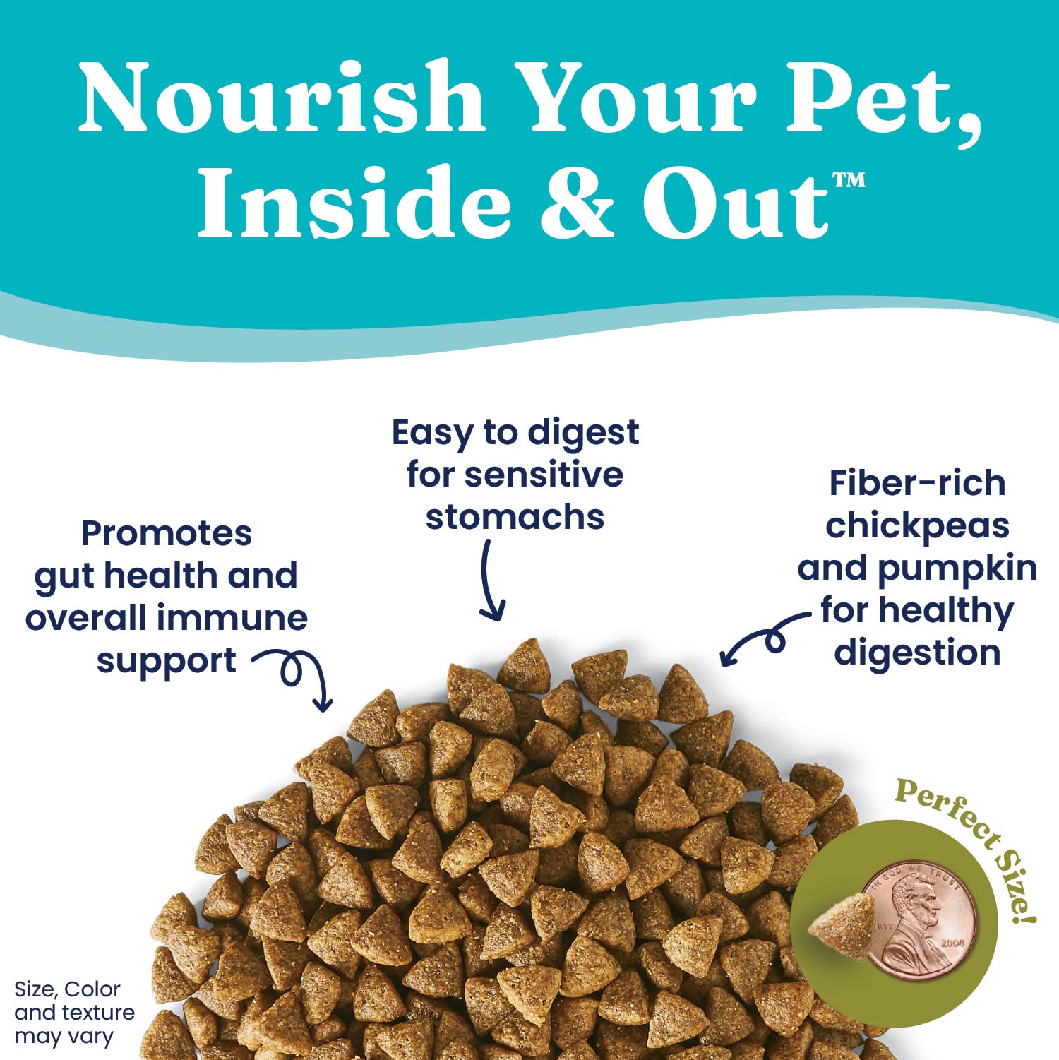 Solid Gold pumpkin and chickpeas image highlighting digestion-friendly fiber