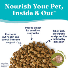 Solid Gold pumpkin and chickpeas image highlighting digestion-friendly fiber