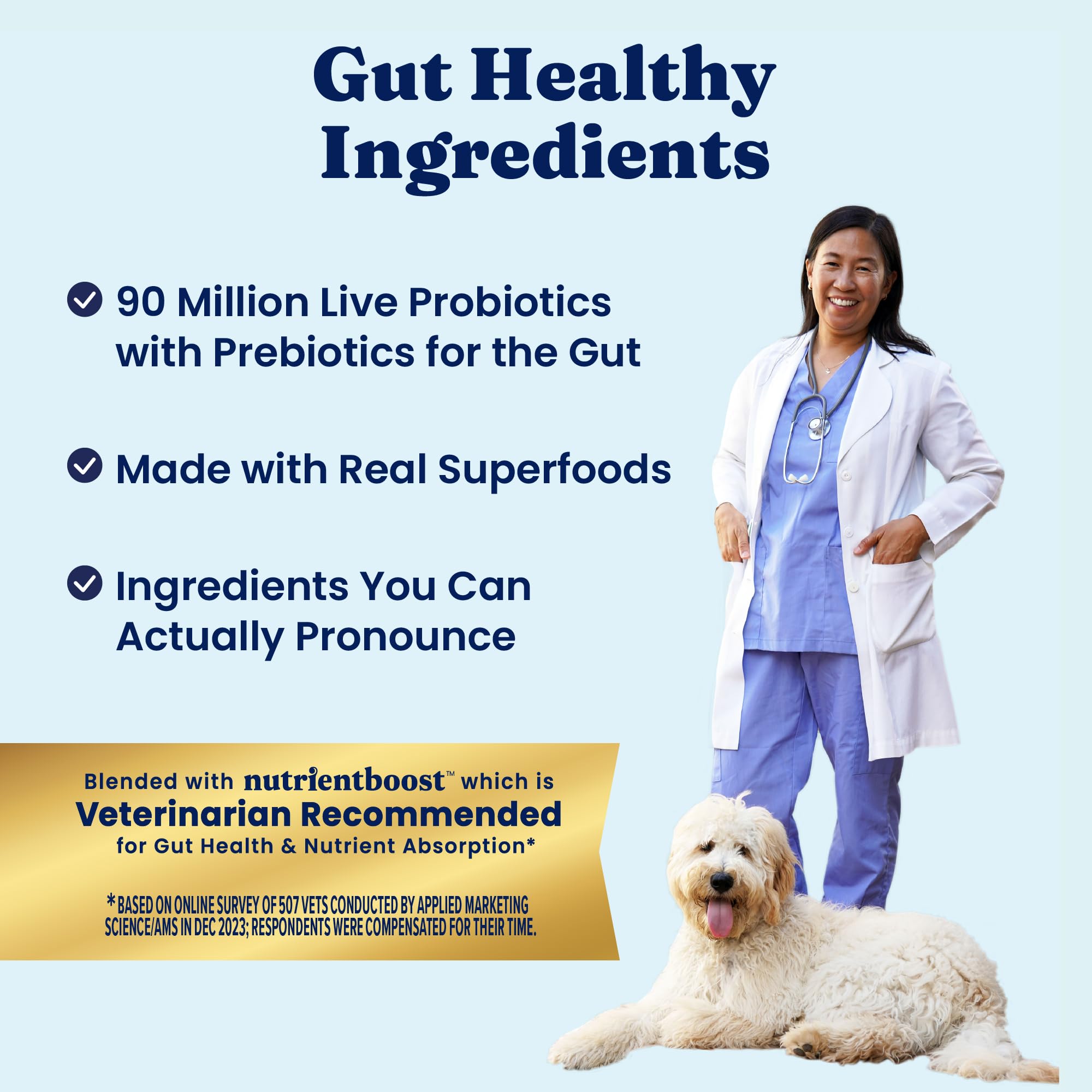Solid Gold dog food serving in bowl showcases balanced mealtime.