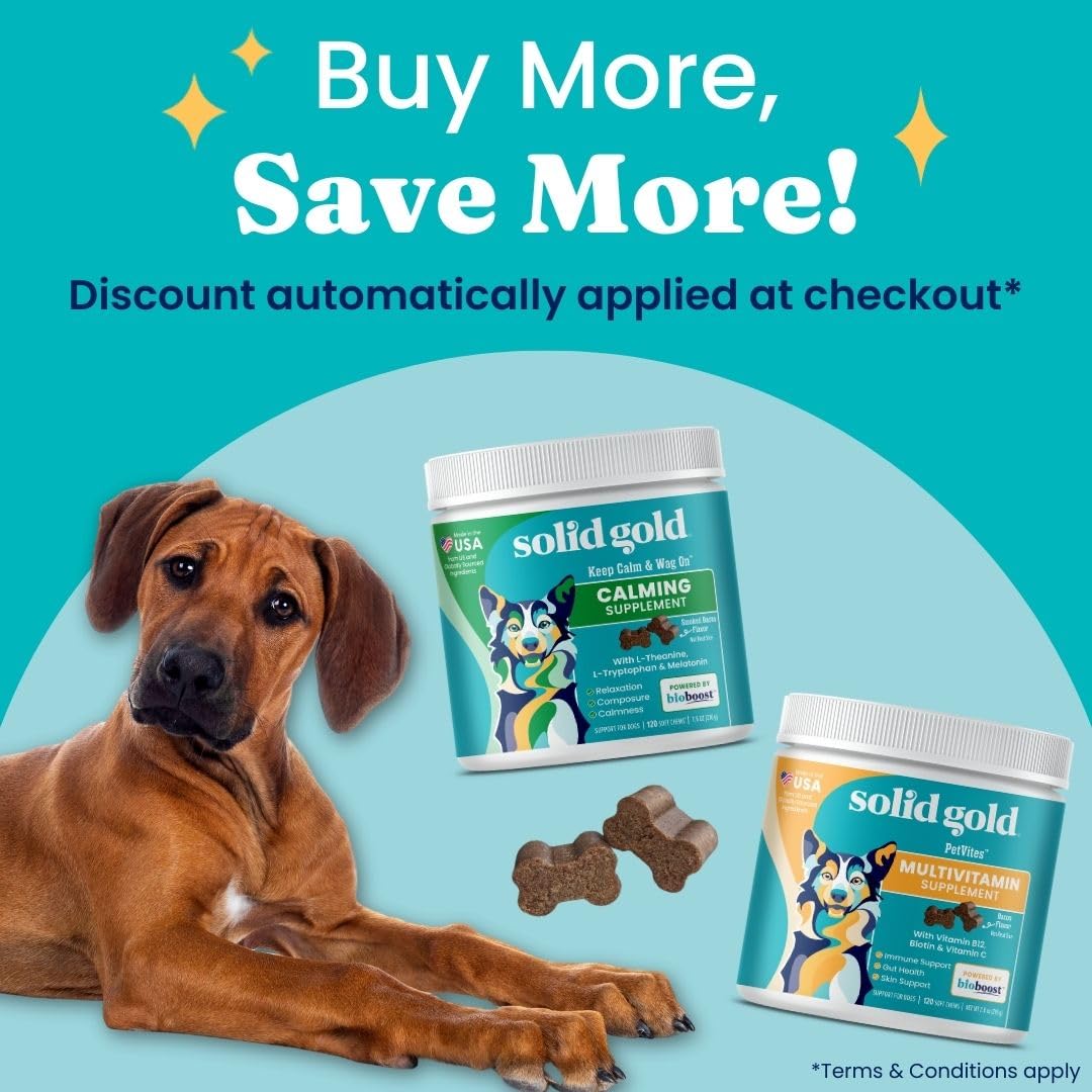 Solid Gold dog multivitamin chew being offered to dog emphasizes taste-driven gut-friendly daily supplementation.