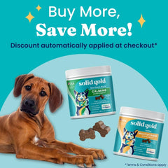 Solid Gold dog multivitamin chew being offered to dog emphasizes taste-driven gut-friendly daily supplementation.