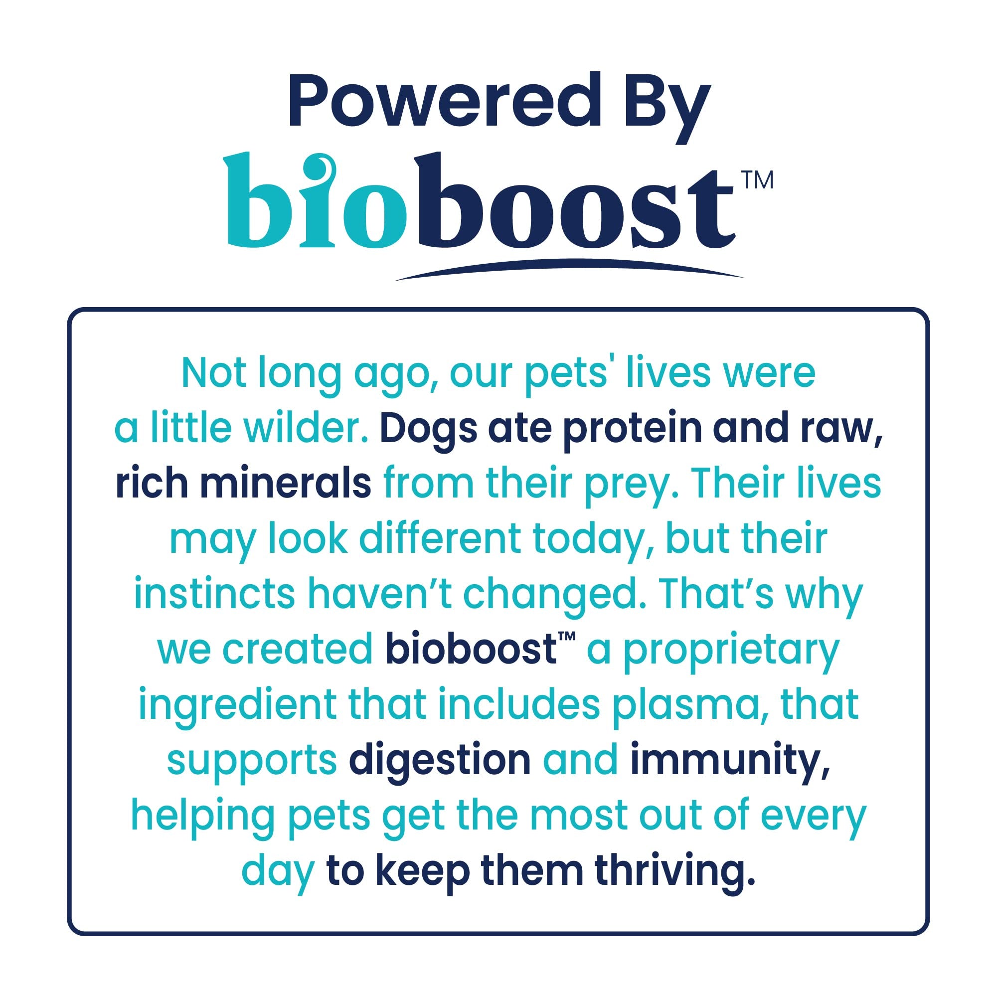 Solid Gold nutrition ingredients close-up highlighting probiotics and antioxidants for balanced wellness.