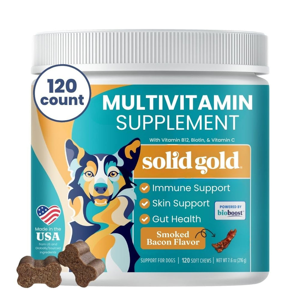 Solid Gold dog multivitamin soft chews bacon flavor closeup for daily nutrition and palatability.