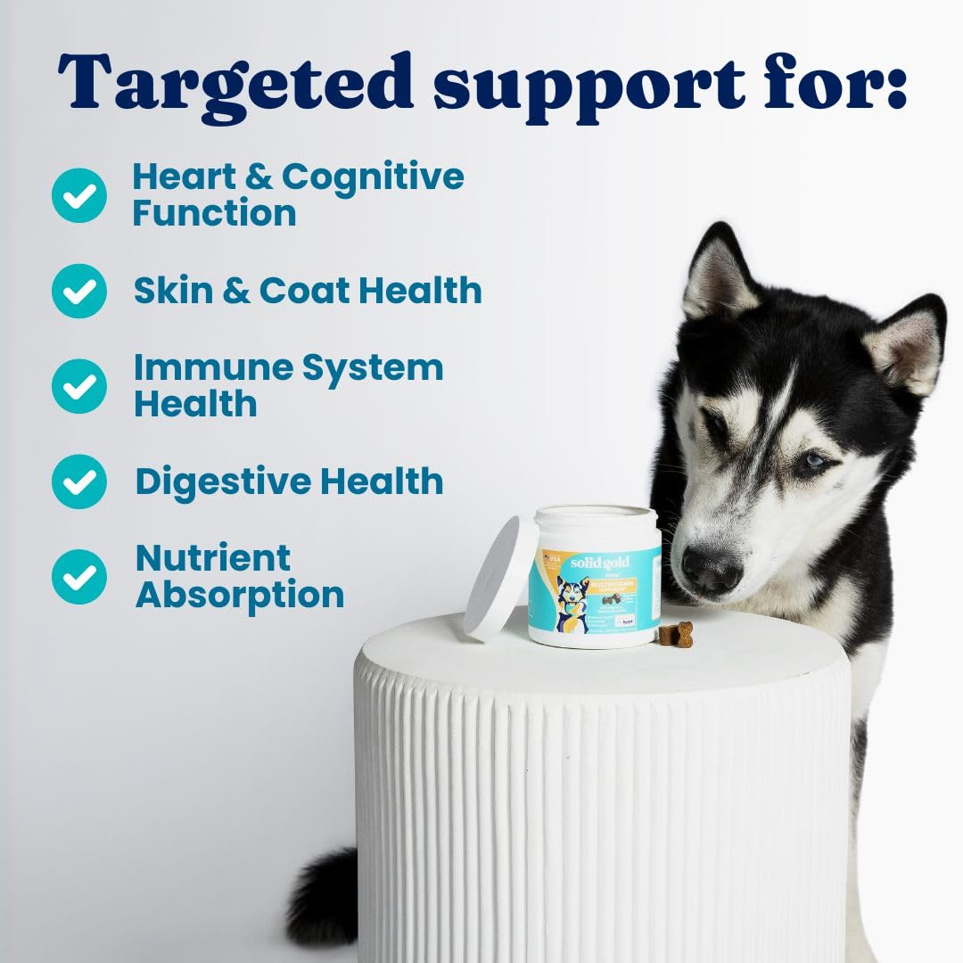 Solid Gold dog multivitamin soft chews in paw image highlighting puppy and senior friendly formula.
