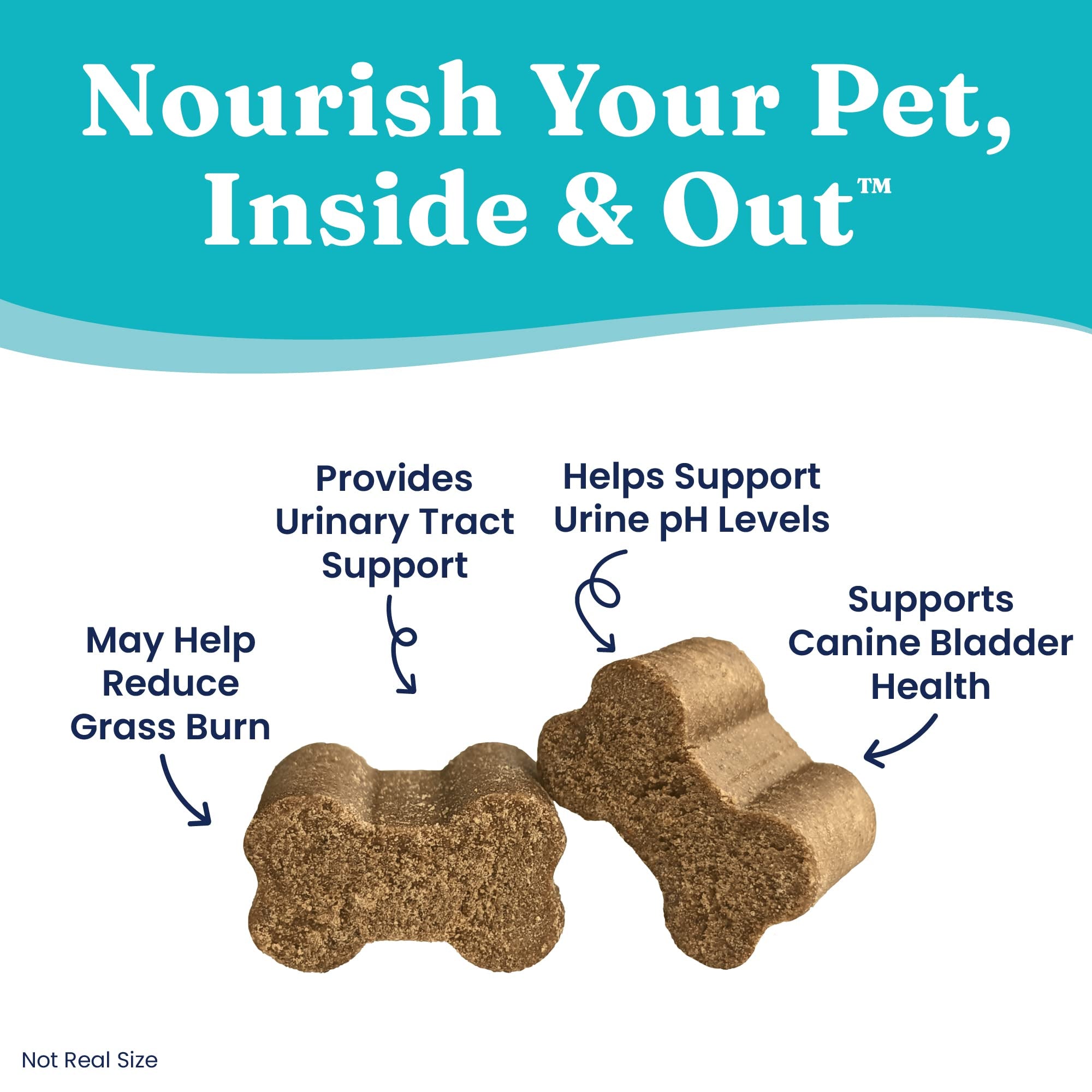 Solid Gold dog-pee-grass-repair-chews digestive-enzymes includes Bacillus coagulans for gut support