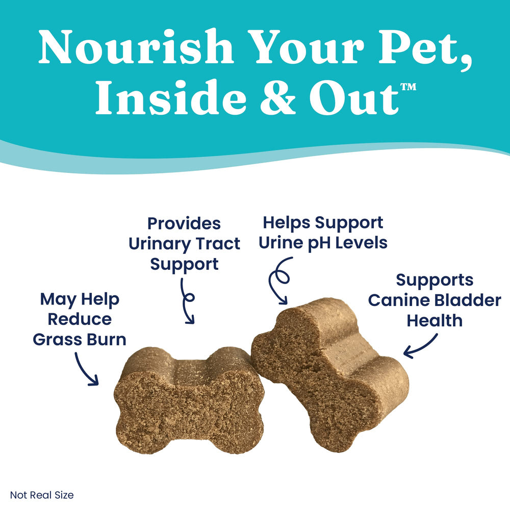 Solid Gold dog-pee-grass-repair-chews digestive-enzymes includes Bacillus coagulans for gut support