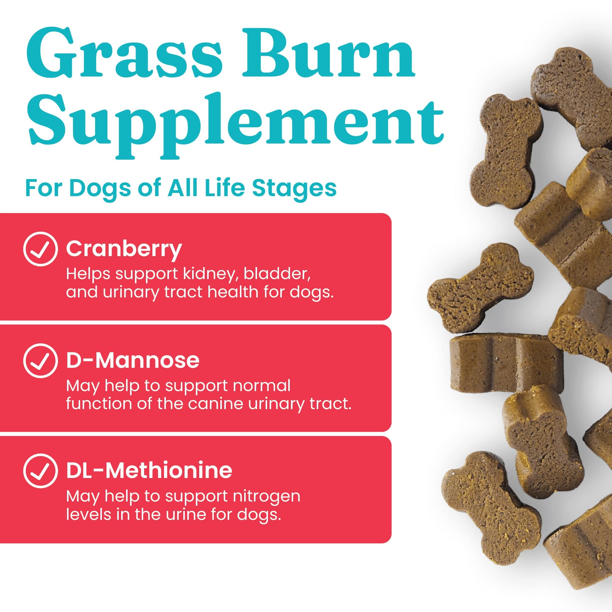 Solid Gold dog-pee-grass-repair-chews dog-urine-lawn helps urinary balance while reducing lawn yellowing