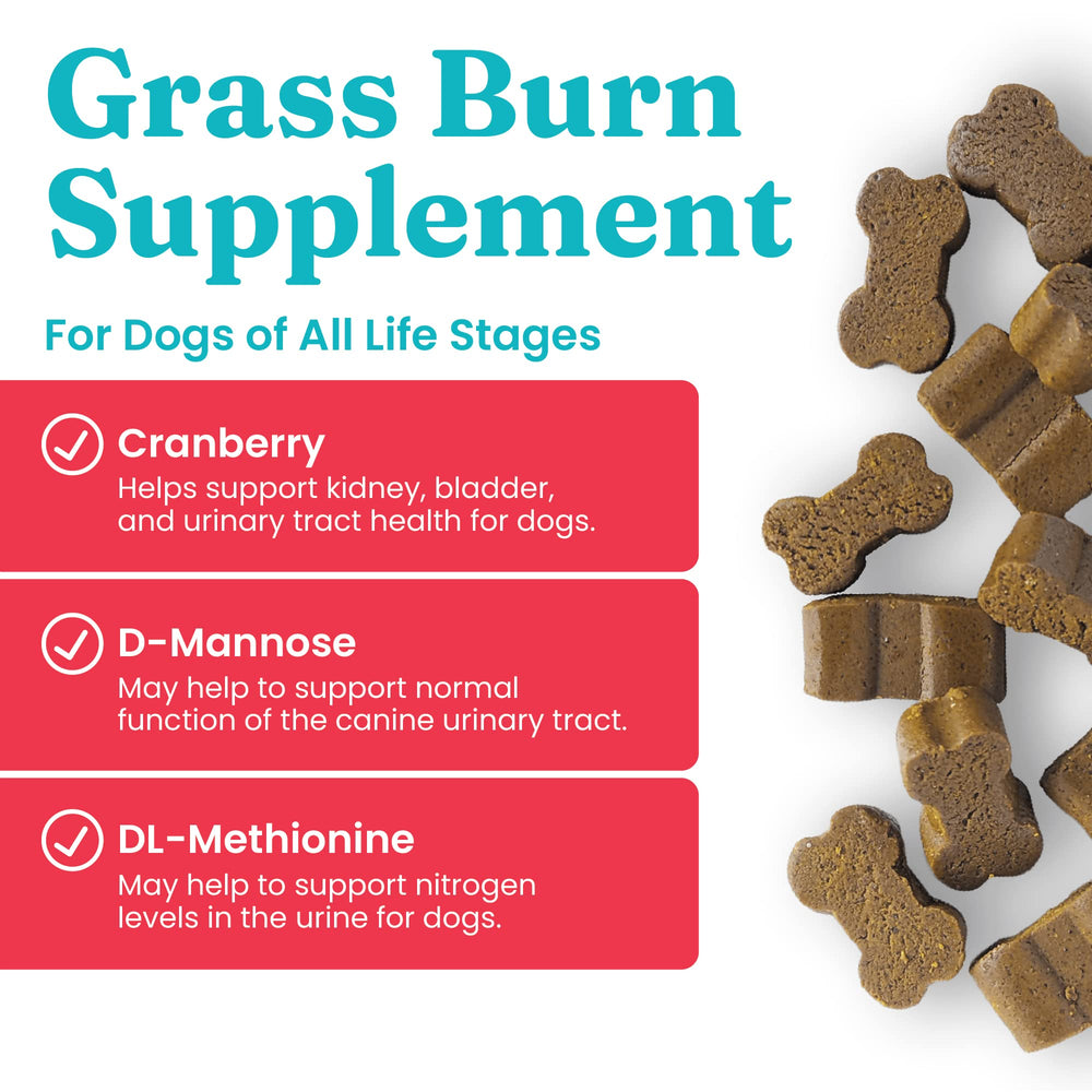 Solid Gold dog-pee-grass-repair-chews dog-urine-lawn helps urinary balance while reducing lawn yellowing