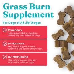 Solid Gold dog-pee-grass-repair-chews dog-urine-lawn helps urinary balance while reducing lawn yellowing
