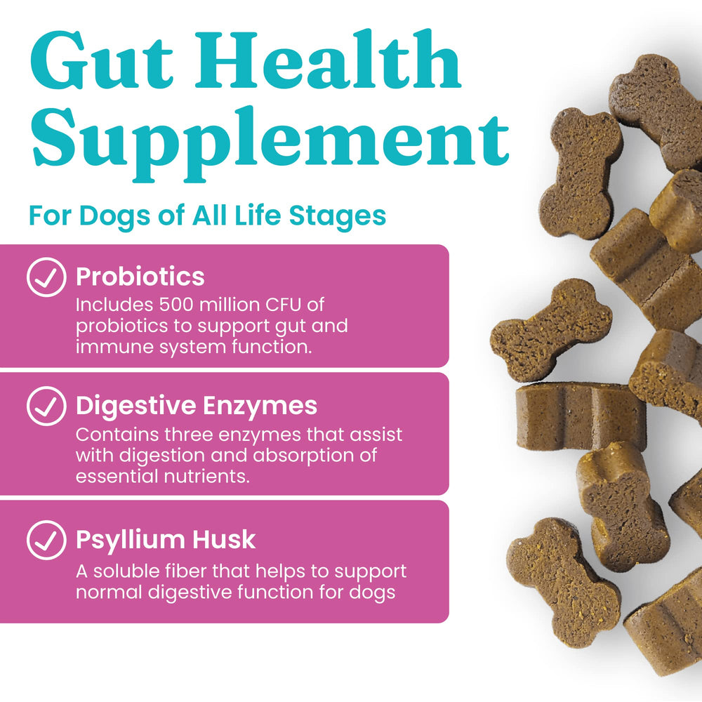 Solid Gold dog probiotics bacon chews in packet entice picky eaters while supporting gut flora