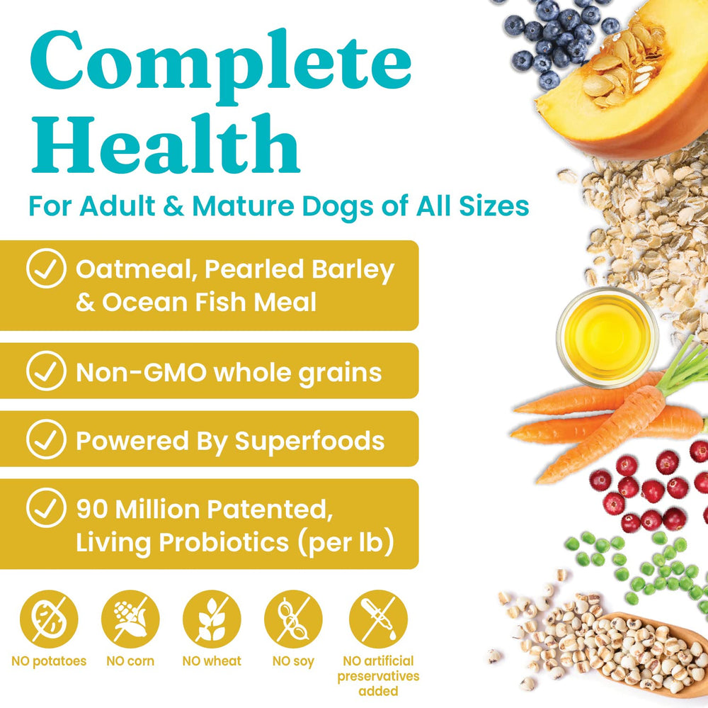 Solid Gold dry kibble closeup highlights high fiber formula for sensitive stomachs