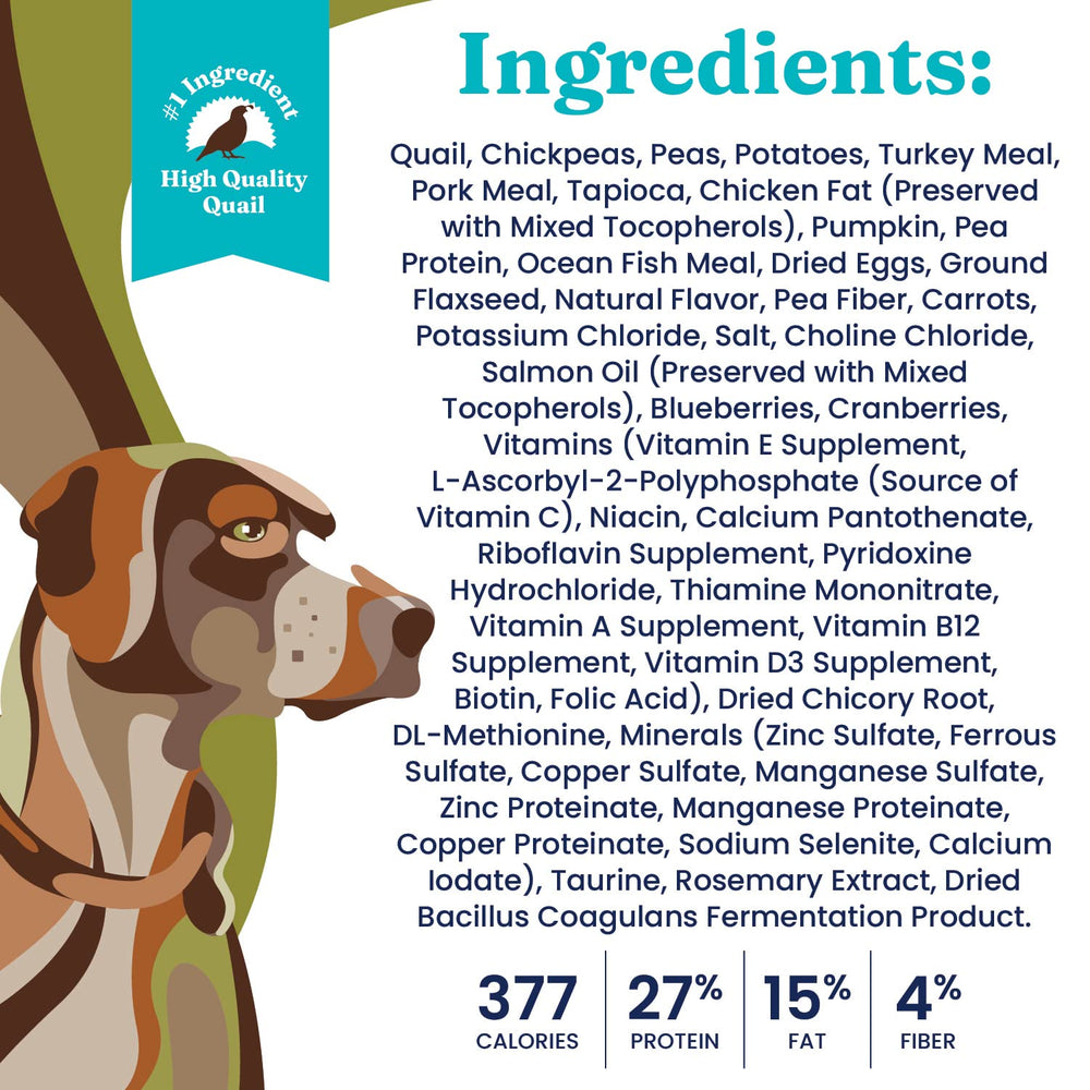 Solid Gold kibble texture close-up showcasing grain-free crunch