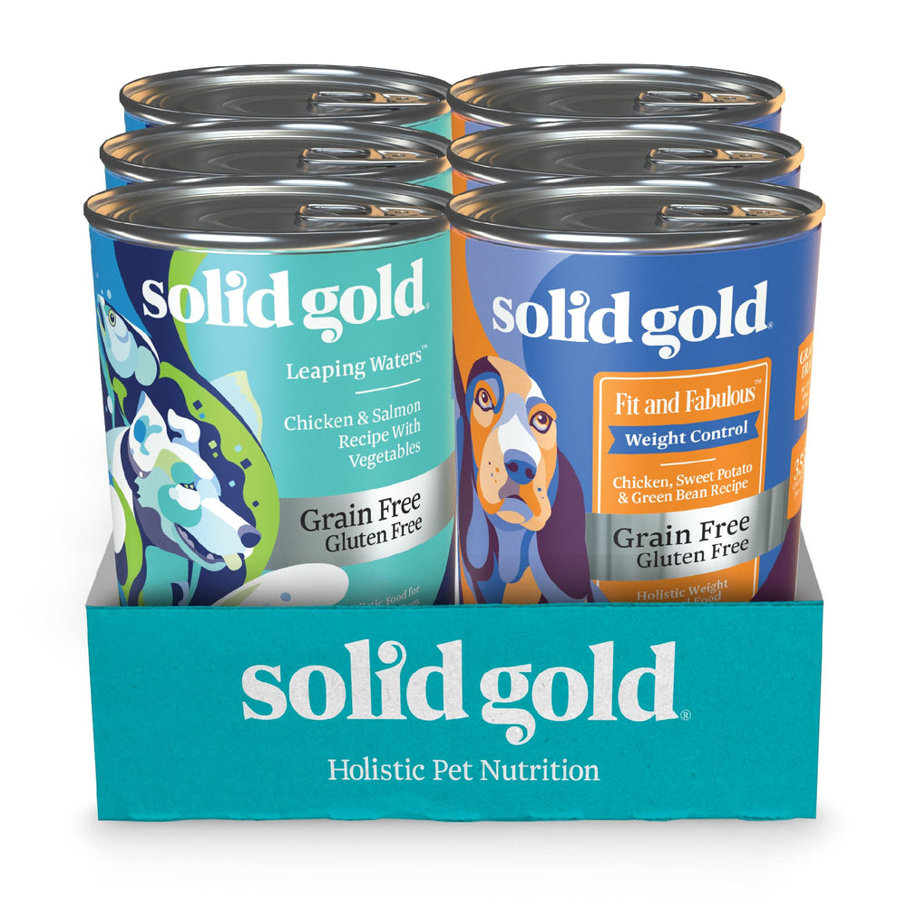 Solid Gold Fit & Fabulous chicken wet dog food in a bowl emphasizes lean protein for weight-conscious dogs.