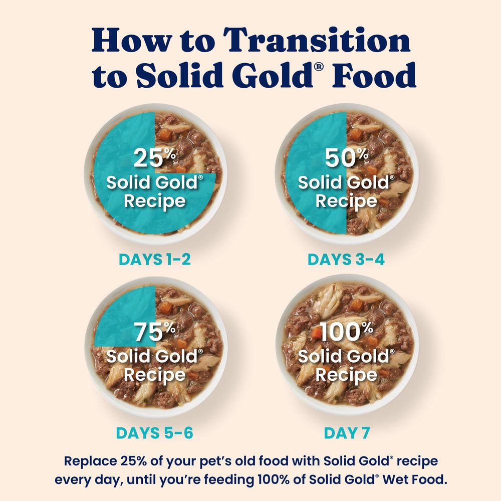 Solid Gold Five Oceans cat enjoying a gravy topped dinner